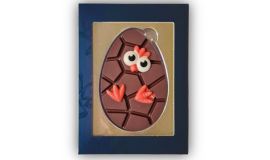 Chocolade paasei met paaskuikentje in geschenkdoos