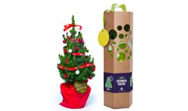 Kerstboompje in geschenkverpakking