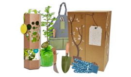 Cadeaupakket ´Plant een boompje´