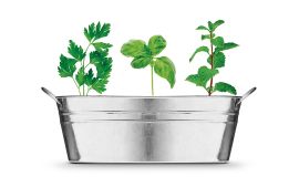Plantenbak met kruidenzakjes