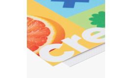 Budget Banner